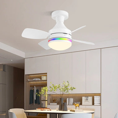 LED E27 Ceiling Fan Light Dimmable with Remote Control 3-Speed RGB Mood Lighting 3 Color Temperature Quiet Operation