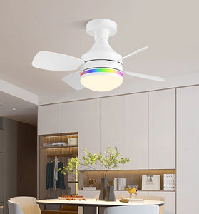 LED E27 Ceiling Fan Light Dimmable with Remote Control 3-Speed RGB Mood Lighting 3 Color Temperature Quiet Operation
