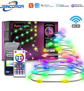 LIXINCORDA 5m~20m Smart RGBIC LED String Lights Music Sync IP68 Waterproof APP/Remote/Voice Control With Alexa/Google Christmas Decoration