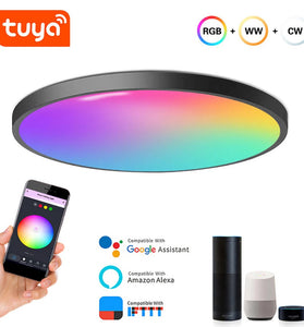 LIXINCORDA 24W WIFI Smart Ceiling Lamp Bluetooth RGBCW Colorful 1920lm Bedroom Lamp Works With Tuya Alexa Google