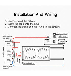 DALY 16S 48V 20A-250A Iron Lithium LifePO4 Lithium Battery Protection Board 16 String Electric Vehicle Tricycle Motorcycle Smart Board