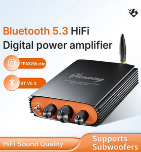YS-KL5 Dual-Channel Bluetooth 5.3 Digital Power Amplifier High-Power 600W TPA3255 Hi-Fi Audio 2.0 Subwoofer
