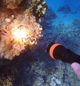 Astrolux DL01 XHP50.2 2230LM Underwater 100M Strong Dive Light 6500K Professinal Scuba Diving LED Flashlight with Magnetic Switch Under Water Photography Video LED Fill Light