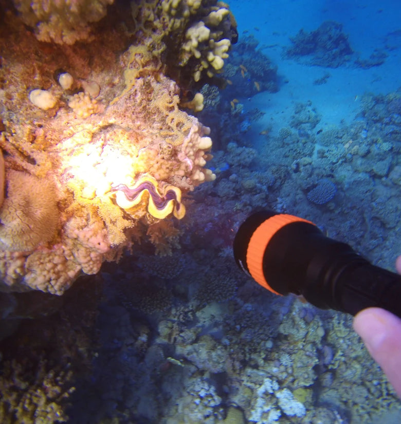 Astrolux DL01 XHP50.2 2230LM Underwater 100M Strong Dive Light 6500K Professinal Scuba Diving LED Flashlight with Magnetic Switch Under Water Photography Video LED Fill Light