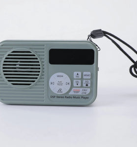 HanRongDa HRD-231 DSP Stereo Radio Music Player FM Bluetooth TF Card Playback 50 Station Memory 2000mAh Rechargeable Battery Portable LED Flashlight for Home Outdoor