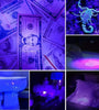 Convoy S2+ Nichia 365nm UV LED Single Mode OP Reflector Flashlight Ultra Violet LED Flashlight Blacklight Light UV Lamp