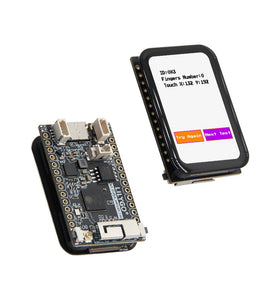 LILYGO T-Display-S3 ESP32-S3 Development Board Touch Screen 16MB Flash 8MB PSRAM 1.64-inch Display AMOLED WiFi bluetooth for IoT Projects