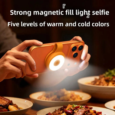 BIKIGHT L03 Magnetic LED Fill Light with 5 Light Modes Type-C Rechargeable Phone Camera Ring Light Portable Clip-On Selfie Video Lighting