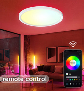 30W Smart LED Ceiling Light Dimmable Ceiling Light Fixture 2700K~6500K, RGB Ambient Light Work with Alexa Google Home for Bedroom Living Room