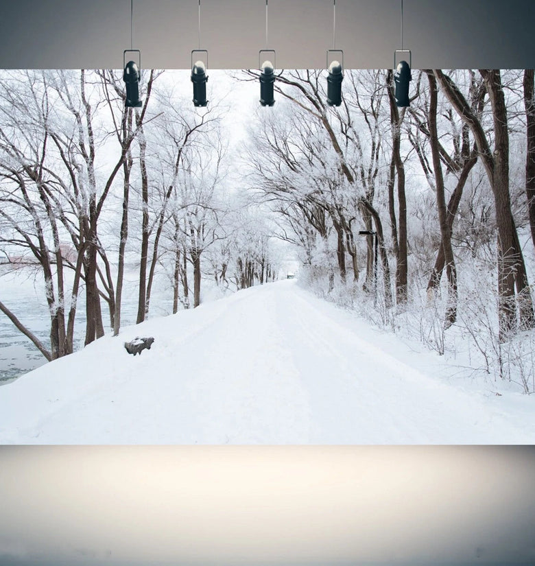 5x7FT Vinyl Winter Snow Road River Side Photography Backdrop Background Studio Prop