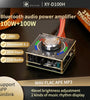 Sinilink XY-D100H 100W*2 HiFi bluetooth Amplifier Board TPA3116*2 Module Digital Audio Amp with Volume Spectrum Music Rhythm Light