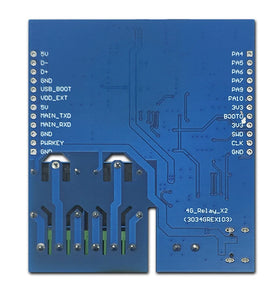 STM32 Air780E 4G Dual Relay Module Development Board Low Power Consumption Type-C LTE Cat 1 bis with Nano SIM Slot