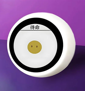 DeepSeek XiaoZhi AI Voice Chat Robot Ball ESP32-S3 1.28 inch LCD N16R8 Development Board Home Assistant Wifi Weather Clock