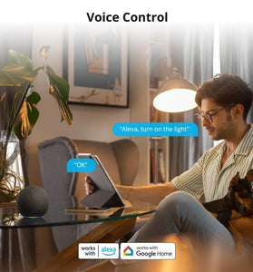 eWelink Smart WiFi Switch DIY Timer 1/2/4CH DC5V2V Intelligent Switch Braker Module APP Control Work with Alexa Google Assistant