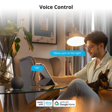 eWelink Smart WiFi Switch DIY Timer 1/2/4CH DC5V2V Intelligent Switch Braker Module APP Control Work with Alexa Google Assistant