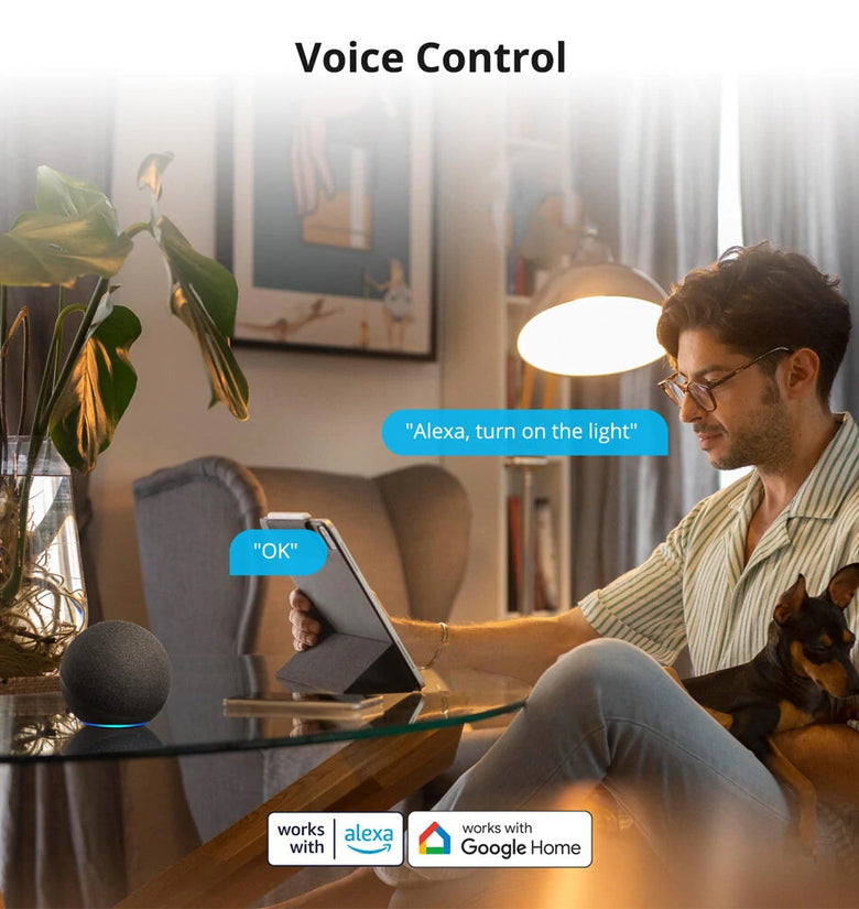 eWelink Smart WiFi Switch DIY Timer 1/2/4CH DC5V2V Intelligent Switch Braker Module APP Control Work with Alexa Google Assistant