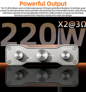 YS Audio YS-HM5 Bluetooth Digital Amplifier 2x220W 2.0 Channel TPA3251 SNR 98dB 20Hz-20KHz Bluetooth/USB/AUX 2-8 DC24-36V Hi-Fi Amp