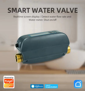 NEO DN20 Tuya Smart WiFi Water Valve Water Flow Rate and Water Meter Shut On/Off Remote Control Real Time Display IP66 Waterproof Work with Alexa Google Assistant