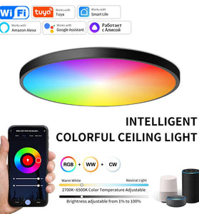 Elfeland 24W 30cm Smart LED Ceiling Light RGB+White Light WiFi APP & Voice Control 3000K~6500K Dimmable Works with Alexa & Google