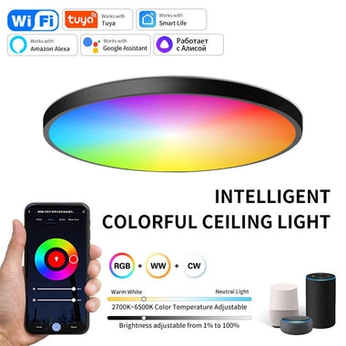 Elfeland 24W 30cm Smart LED Ceiling Light RGB+White Light WiFi APP & Voice Control 3000K~6500K Dimmable Works with Alexa & Google