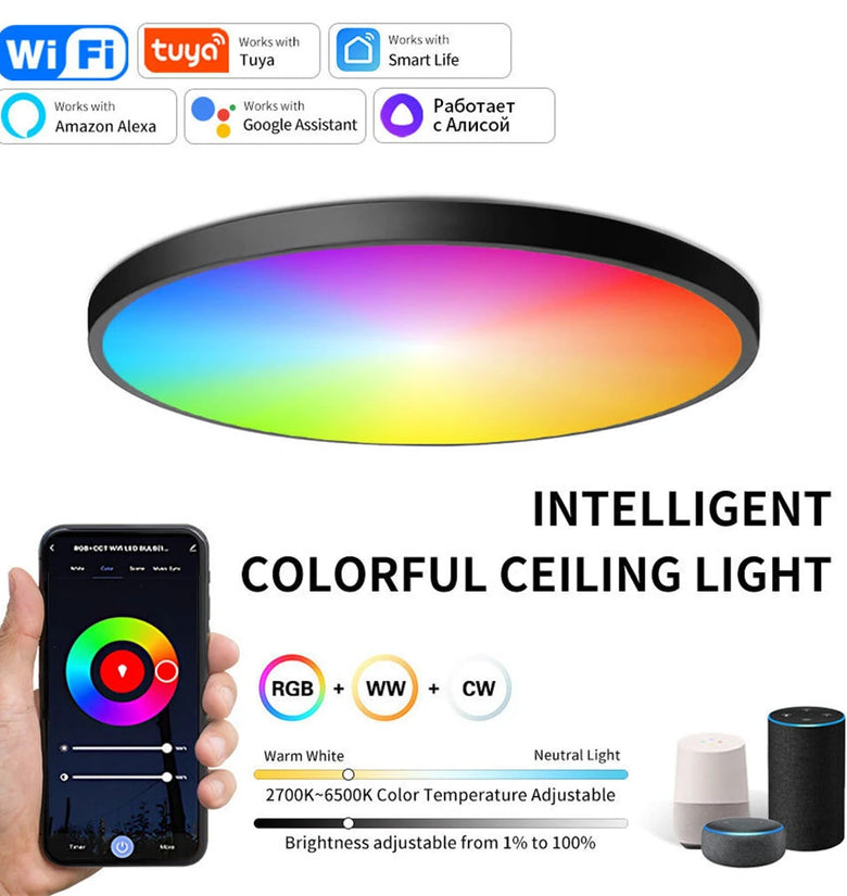 Elfeland 24W 30cm Smart LED Ceiling Light RGB+White Light WiFi APP & Voice Control 3000K~6500K Dimmable Works with Alexa & Google