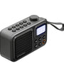 SANSUI F37 Mini Portable FM Radio Outdoor Bass bluetooth 5.3 Speaker Recorder with LED Display Hands-free Call Support TF USB Disk Playback MP3 Music Player with Lanyard