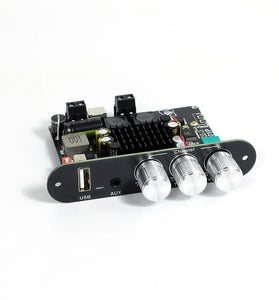 Sinilink XY-T1001P 100W Mono Bluetooth Audio Amplifier Board Input Bluetooth AUX USB DIY Speaker System with High and Low Frequency Adjustment TWS True Wireless Speaker