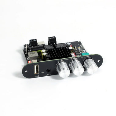 Sinilink XY-T1001P 100W Mono Bluetooth Audio Amplifier Board Input Bluetooth AUX USB DIY Speaker System with High and Low Frequency Adjustment TWS True Wireless Speaker