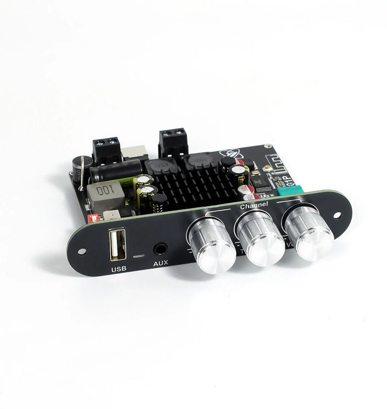 Sinilink XY-T1001P 100W Mono Bluetooth Audio Amplifier Board Input Bluetooth AUX USB DIY Speaker System with High and Low Frequency Adjustment TWS True Wireless Speaker