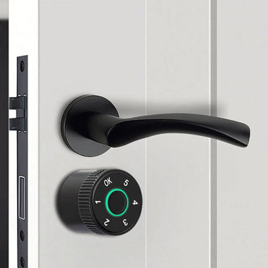 Smart Electronic Lock Cylinder Tuya App Fingerprint Password Unlock Upgrade for Mechanical Door Locks Security Home