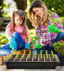 Seed Starter Tray with Grow Light 40 Cells Seed Starter Kit with Humidtiy Dome Seedling Starter Trays for Seed Germination Kit Seedling Starting Propagation Cloning Plants
