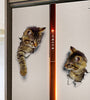 3D Cute Cat Wall Sticker Toliet Stickers  Decorations Creative Animal Wall Stickers