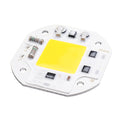 30W Warm/White DIY COB LED Chip Bulb Bead For Flood Light AC180-240V