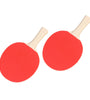 3-in-1 Table Tennis Set Telescopic Rack Table Tennis Rackets 3 Pcs Ball Outdoor Garden Family Team Sport Training