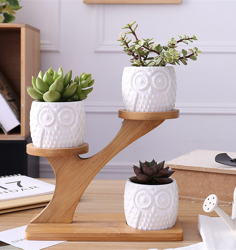 3Pcs Owl Succulent Pot Ceramic Garden Flower Planter Holder Bamboo Stand Sets