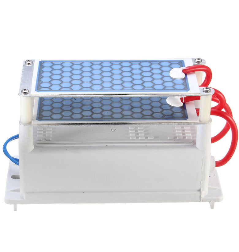 10g 10000mg/h Ozone Generator with Blue Plates Treatment - Heavy Duty AC110V 10000Mg/H With