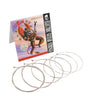 Alices Electric Guitar String A506-L Electric Guitar Strings 008 to 038 inch Plated Steel Coated Nickel Alloy Wound