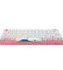 AKKO 3061S Tokyo R2 Mechanical Keyboard 61 Keys Wired Gateron Prelubricate Switch RGB PBT Japanese Keycap Gaming Keyboard
