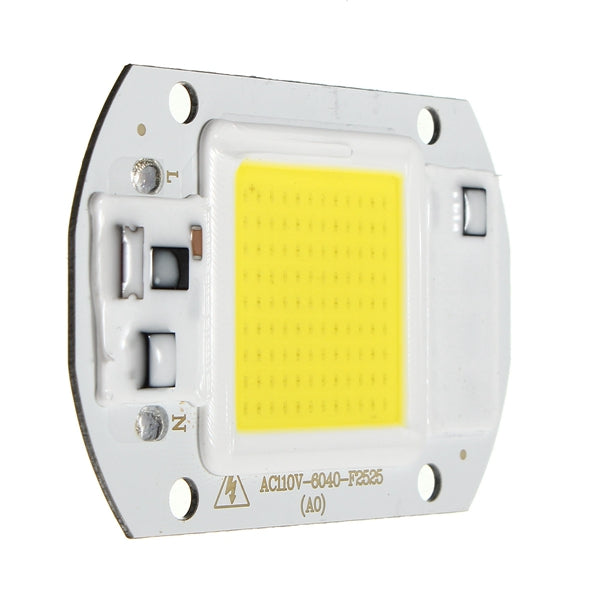 20W 1800LM Warm/White DIY COB LED Chip Bulb Bead 60x40mm For Flood Light AC110/220V